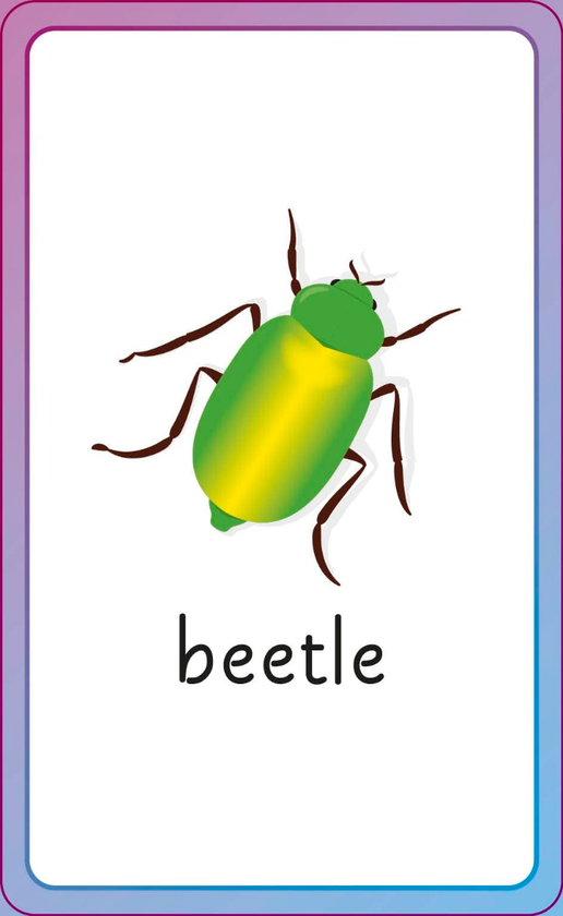 Бумажная книга «English for Everyone Junior: First Words Animals Flash Cards» - фото №1