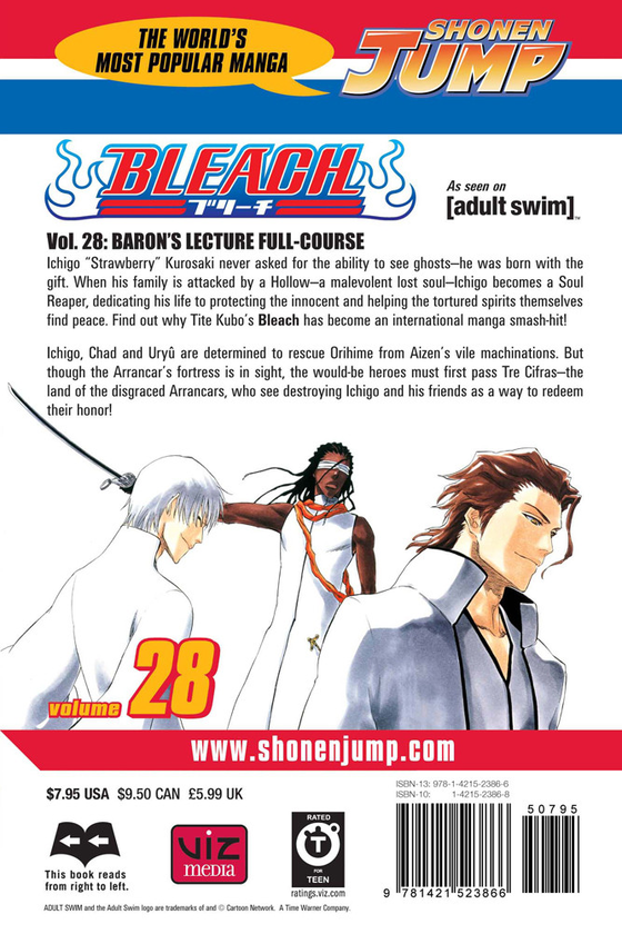 Паперова книга «Bleach. Volume 28», автор Тайто Кубо - фото №1