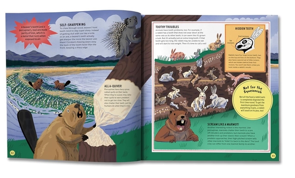 Бумажная книга «Open Wide!», автор Летиция Диаманте - фото №1