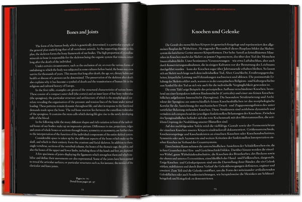 Бумажная книга «Anatomical Waxes», автор Марта Поггеси - фото №1