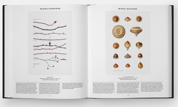Бумажная книга «Plant: Exploring the Botanical World», автор Редакторы "Phaidon" - фото №1