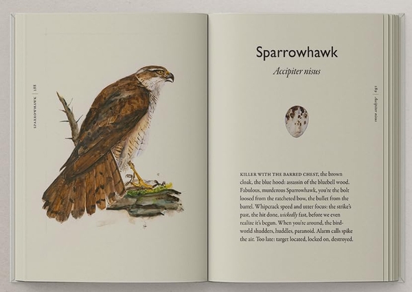 Бумажная книга «The Book of Birds: A Field Guide to Wonder and Loss», авторов Джеки Моррис, Роберт Макфарлейн - фото №1