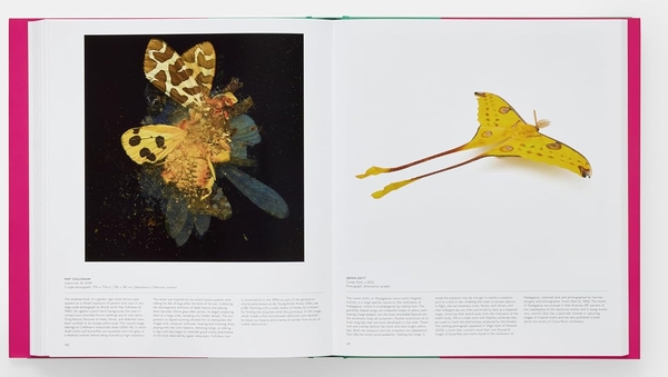 Бумажная книга «Butterfly: Exploring the World of Lepidoptera», автор Редакторы "Phaidon" - фото №1