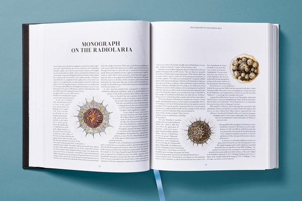 Paper book «The Art and Science of Ernst Haeckel», author Julia Voss - фото №1