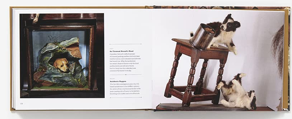Бумажная книга «Best Friends Forever. The Greatest Collection of Taxidermy Dogs on Earth», автор Джей Ди Пауэр - фото №1