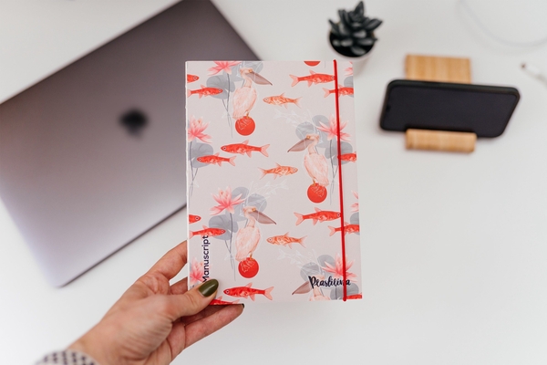 «Скетчбук Plastilina 2019 Plus (pl-2019-plus)», бренда Manuscript - фото №1
