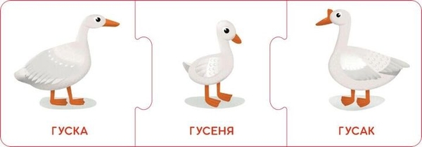  «Настільна гра Кенгуру Логічні ланцюжки. Малюки тварини та їхні родини (КН1782001У)», бренда Кенгуру - фото №1