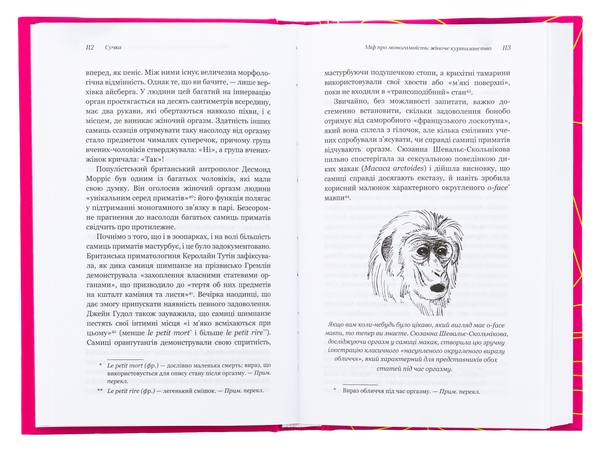 Бумажная книга «Сучка. Революційне дослідження про секс, еволюцію і самиць », автор Люси Кук - фото №1