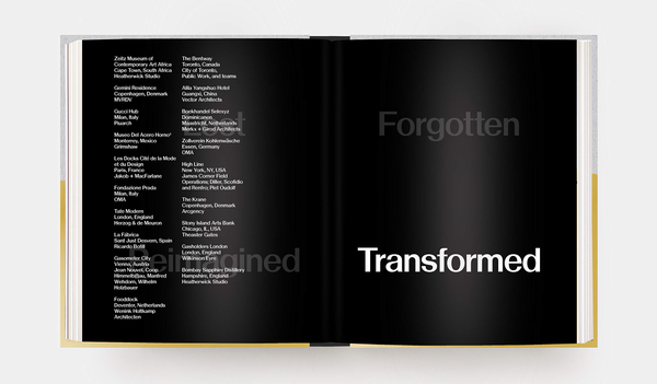 Бумажная книга «Ruin and Redemption in Architecture», автор Дэн Бараш - фото №1