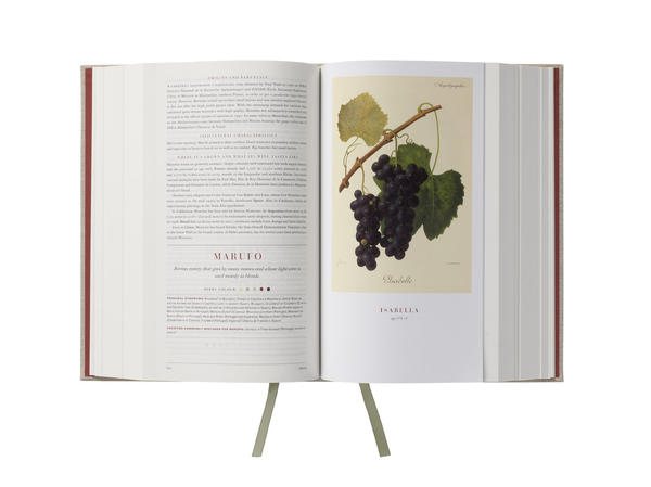 Бумажная книга «Wine Grapes. A complete guide to 1,368 vine varieties, including their origins and flavours», авторов Джулия Хардинг, Янсис Робинсон, Хосе Вуйамоз - фото №1