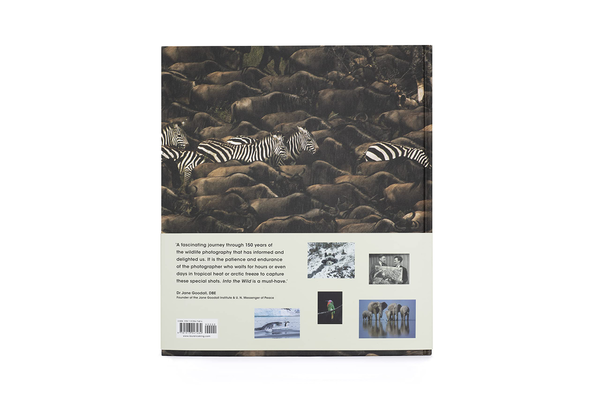 Бумажная книга «Into the Wild. The Story of the World's Greatest Wildlife Photography», автор Джемма Пэдли - фото №1