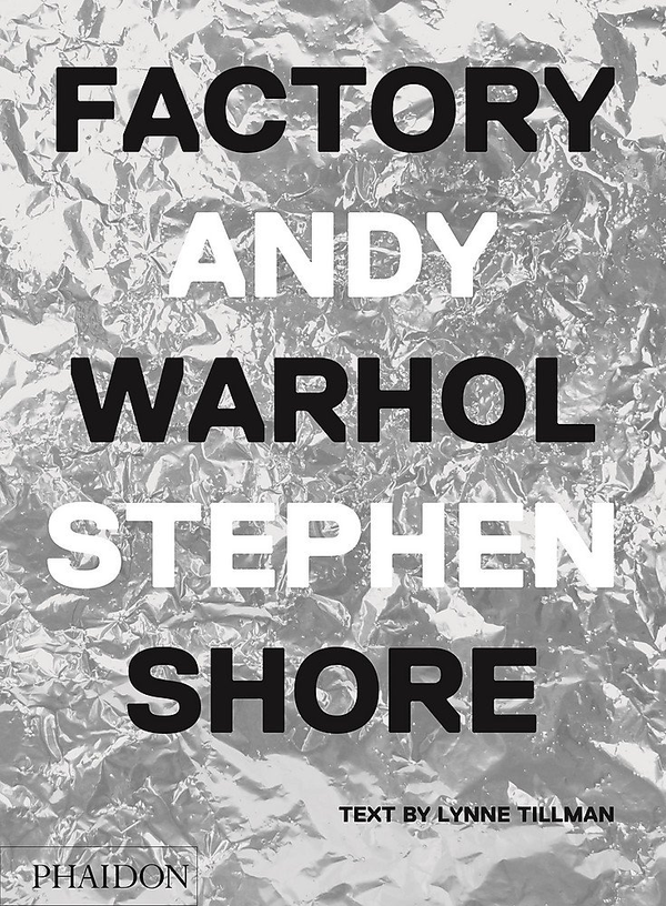 Бумажная книга «Factory: Andy Warhol» - фото №1