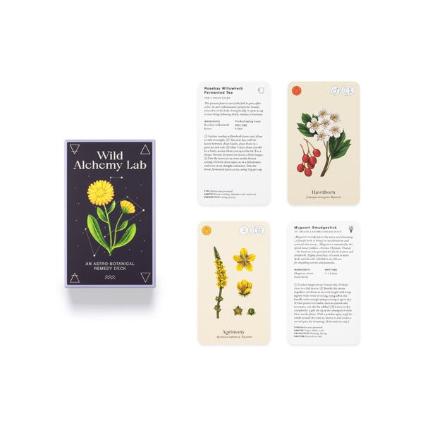 Паперова книга «Wild Alchemy Lab. An Astro-botanical Remedy Deck», автор Джемма Фостер - фото №1