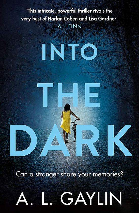 Бумажная книга «Into The Dark», автор Элисон Гейлин - фото №1