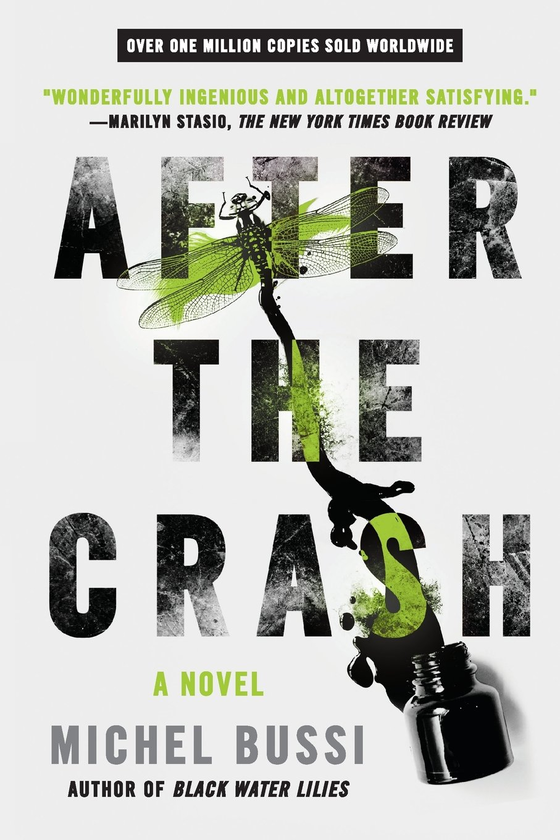 Паперова книга «After the Crash», автор Мішель Бюссі - фото №1
