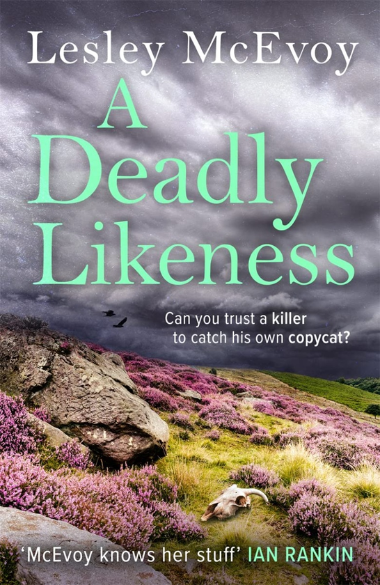 Бумажная книга «A Deadly Likeness», автор Лесли Макевой - фото №1