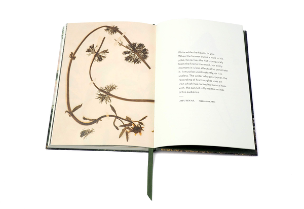 Бумажная книга «Thoreau Notebook» - фото №1