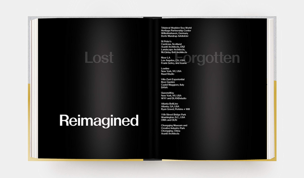 Бумажная книга «Ruin and Redemption in Architecture», автор Дэн Бараш - фото №1