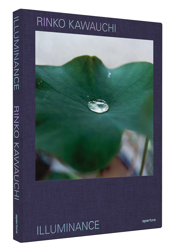 Бумажная книга «Rinko Kawauchi. Illuminance. The Tenth Anniversary Edition» - фото №1