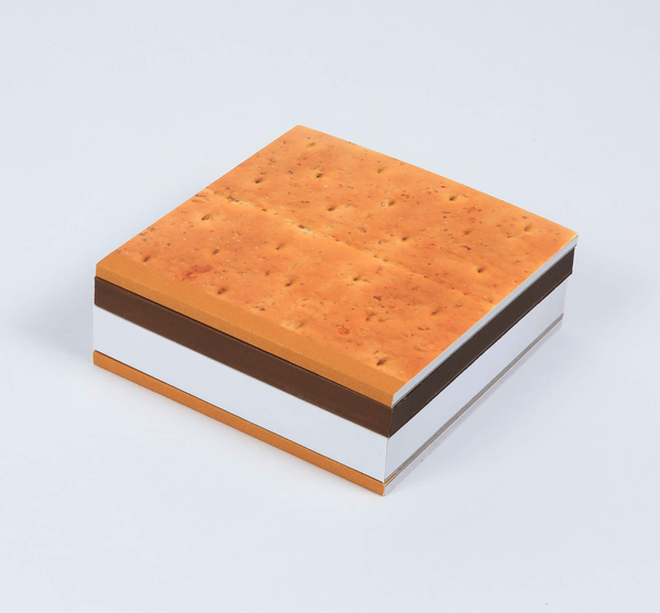 Бумажная книга «S'more Notes» - фото №1