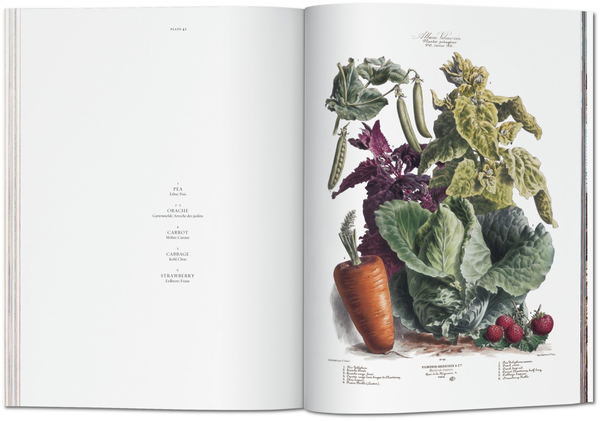 Бумажная книга «Vilmorin, Vegetable Garden» - фото №1