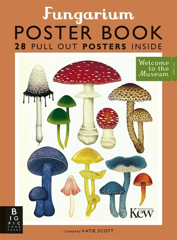 Бумажная книга «Fungarium Poster Book», автор Эстер Гая - фото №1