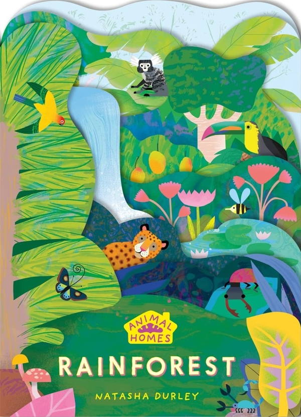 Бумажная книга «Animal Homes. Rainforest» - фото №1