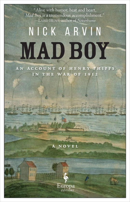 Бумажная книга «Mad Boy», автор Ник Арвин - фото №1