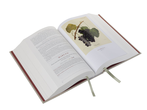 Бумажная книга «Wine Grapes. A complete guide to 1,368 vine varieties, including their origins and flavours», авторов Джулия Хардинг, Янсис Робинсон, Хосе Вуйамоз - фото №1