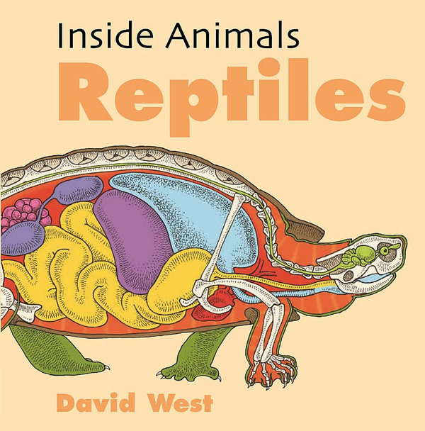 Бумажная книга «Reptiles» - фото №1