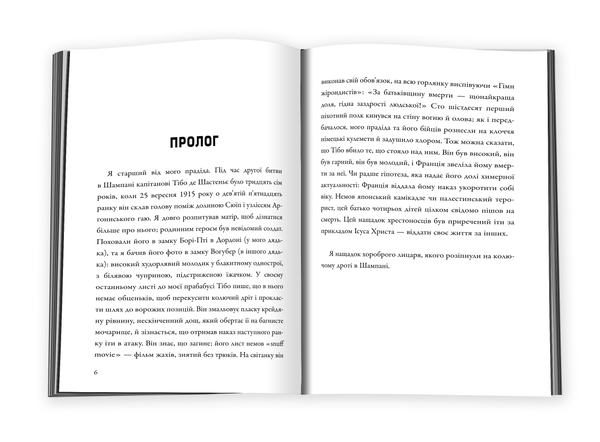 Паперова книга «Французький роман», автор Фредерік Бегбедер - фото №1