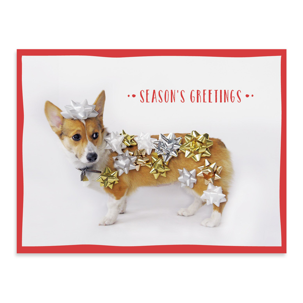 Бумажная книга «Festive Furry Friends Deluxe Notecard Collection» - фото №1