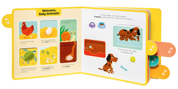 Бумажная книга «Baby Animals», автор Стефани Бэбин - фото №1