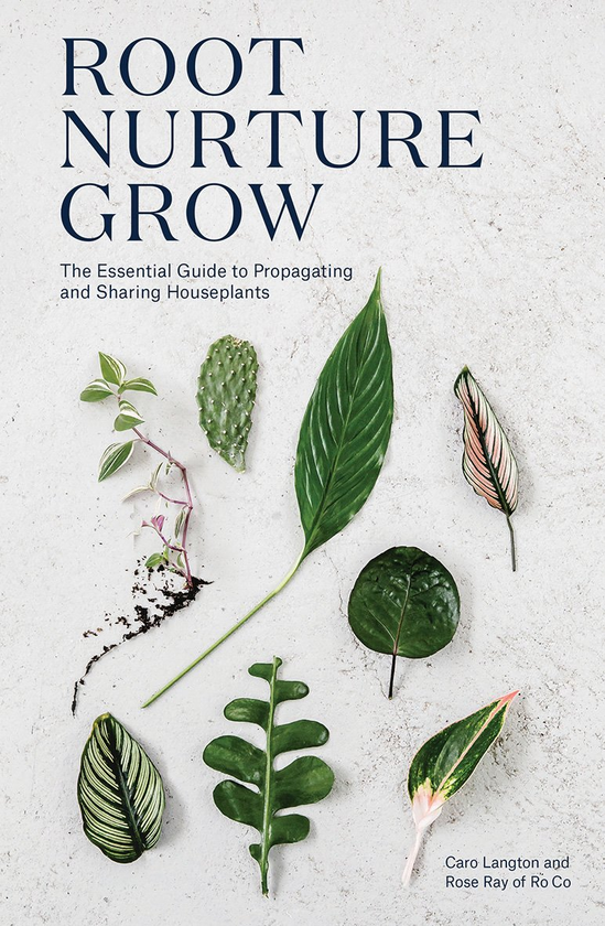 Бумажная книга «Root, Nurture, Grow: The Essential Guide to Propagating and Sharing Houseplants», авторов Каро Лангтон, Роуз Рэй - фото №1