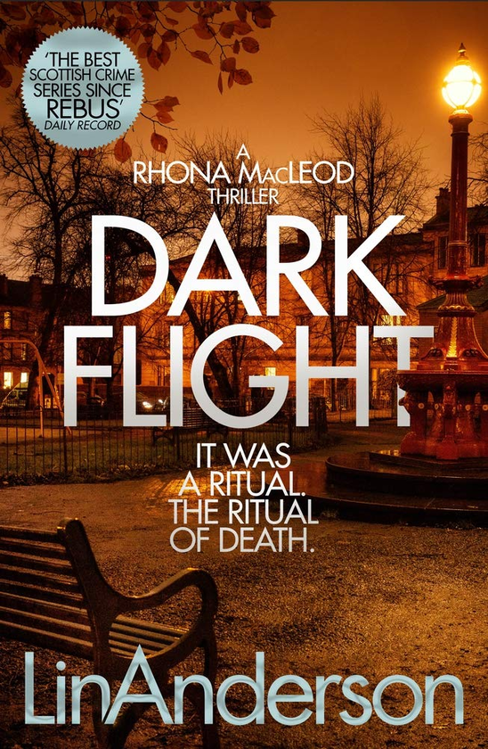 Бумажная книга «Dark Flight», автор Лин Андерсон - фото №1