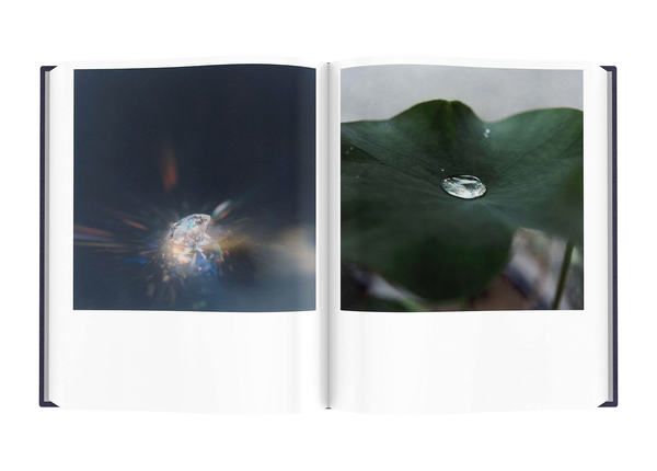 Бумажная книга «Rinko Kawauchi. Illuminance. The Tenth Anniversary Edition» - фото №1