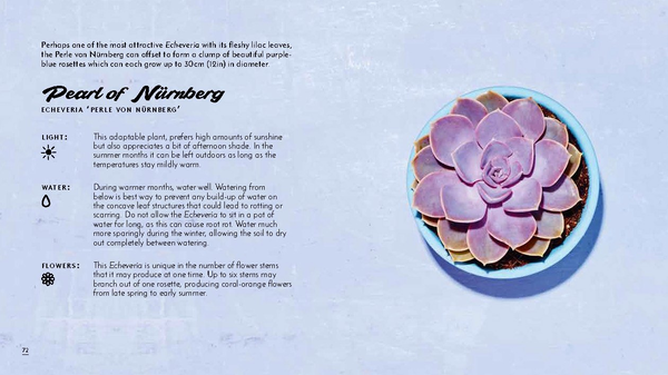 Бумажная книга «The Little Book of Cacti and Other Succulents», автор Эмма Сибли - фото №1