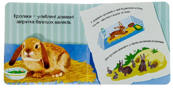 Бумажная книга «Знайомся, я кроленя», автор Мария Жученко - фото №1