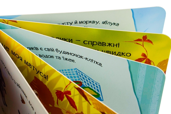 Бумажная книга «Знайомся, я кроленя», автор Мария Жученко - фото №1
