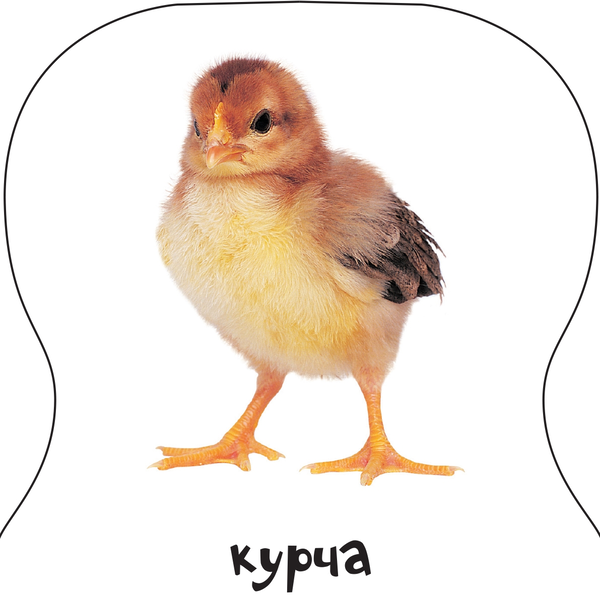Бумажная книга «Ферма. Книжка-іграшка з брязкальцем» - фото №1