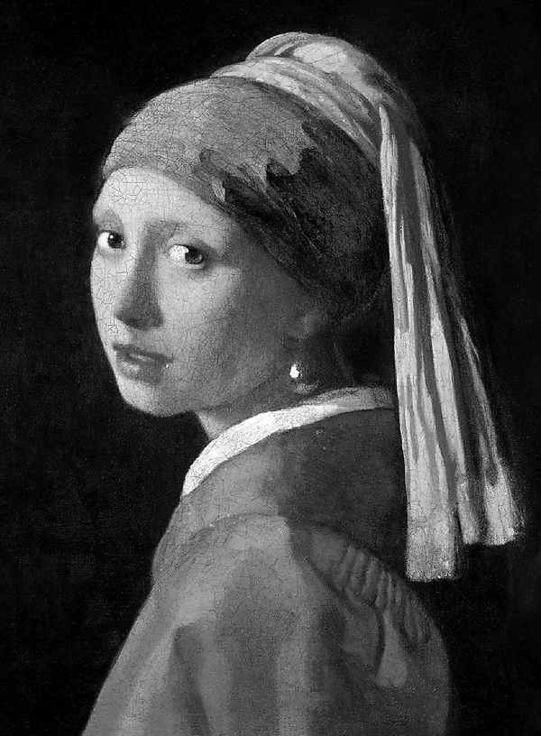 Бумажная книга «Vermeer» - фото №1