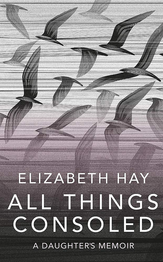 Бумажная книга «All Things Consoled», автор Элизабет Хэй - фото №1