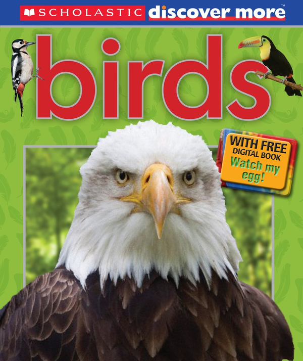 Бумажная книга «Birds» - фото №1