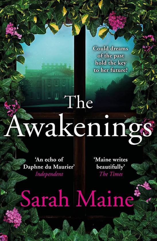 Паперова книга «The Awakenings», автор Сара Мен - фото №1