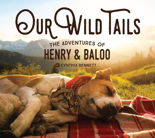 Бумажная книга «Our Wild Tails. The Adventures of Henry and Baloo», автор Синтия Беннетт - фото №1