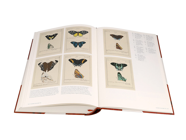 Паперова книга «Iconotypes» - фото №1