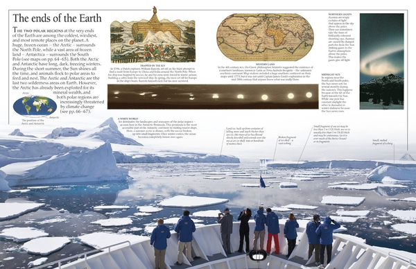 Бумажная книга «Arctic and Antarctic» - фото №1