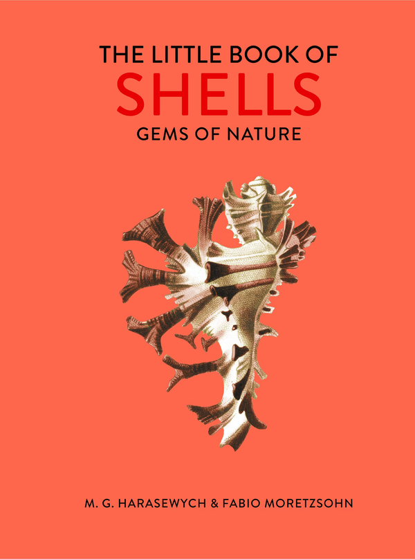 Паперова книга «The Little Book of Shells. Gems of Nature», авторів М. Г. Харасевич, Фабіо Морецсон - фото №1