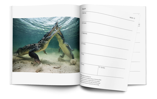 Бумажная книга «Wildlife Photographer of the Year Desk Diary 2022» - фото №1