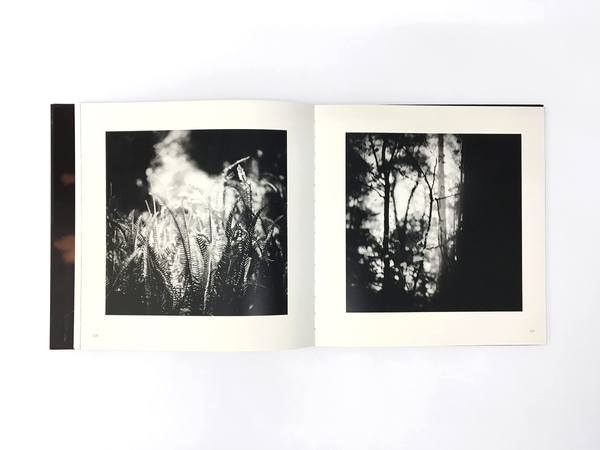Паперова книга «Anderswo / Elsewhere» - фото №1